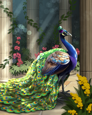 Jane Peacock-cover