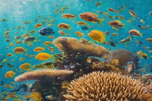 Fantastic Beasts and Where to Conserve Them: Protecting Endangered Species-cover
